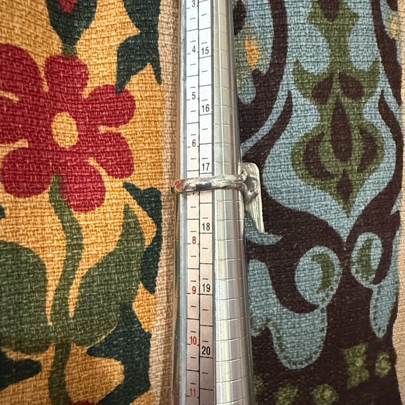 Amazing Thunderbird Sterling Silver Ring 
 Protection Loyal Graceful - Picture 4 of 5